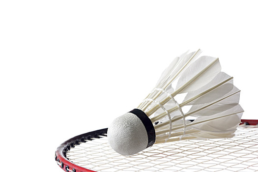 女助教的这 女助教的这